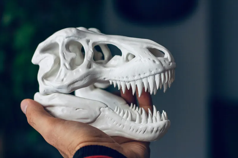 Mão segurando um crânio de T-rex branco impresso em 3D