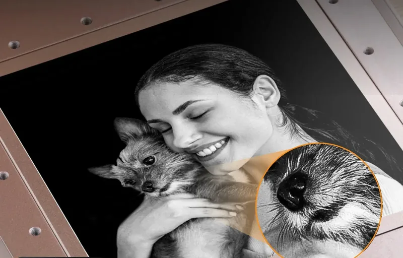 Foto de uma mulher abraçando um cachorro, gravada em alta definição